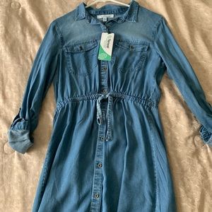 Never worn Jean Dress